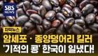 /files/thumbnails/030/004/140x80.fill.jpg?t=1748444734